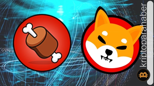 Shiba Inu’da büyük değişim: BONE ve Shibarium ile yeni dönem başlıyor!
