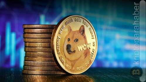 Dogecoin fiyatı risk altında: FTX tasfiyesi DOGE fiyatını nasıl etkileyecek?