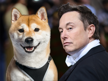 Shiba Inu’da Son Durum Ne? Elon Musk’ın Etkileşime Girdiği Yeni Kripto Projesi WSM Dikkat Çekiyor