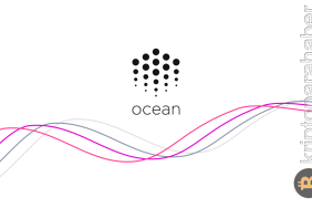 Ocean Protocol Kapak