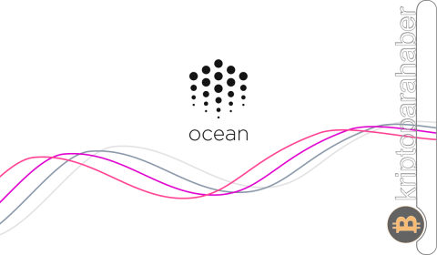 Ocean Protocol (OCEAN) –  Hacmi Yüksek Yapay Zekâ Coini