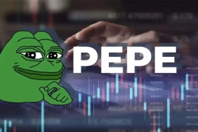 pepe