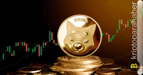 Shiba Inu benimsenmesi artıyor: Bu durum 2024’te memecoinin yükselmesine yardımcı olacak mı?