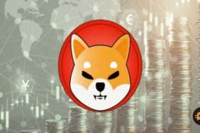 Shiba Inu satış baskısıyla karşı karşıya: SHIB fiyatı için sırada ne var?