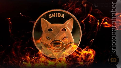 Shiba Inu yanma oranı yüzde 333 arttı: SHIB fiyatı için sırada ne var?