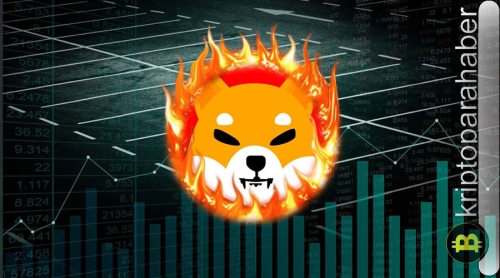 SHIB haberleri: Fiyat artışıyla birlikte Shiba Inu yanma oranı yüzde 317 oranında hızla arttı…