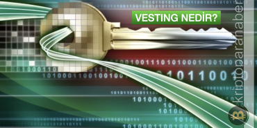 Vesting Nedir