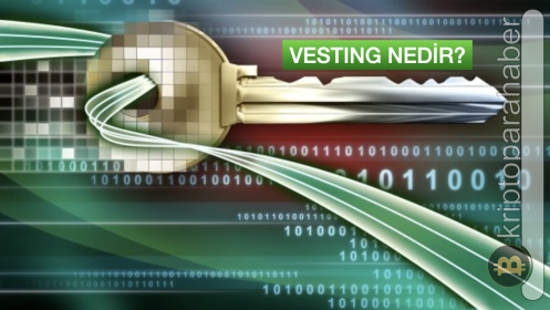 Kripto Para Piyasalarında Vesting Nedir?