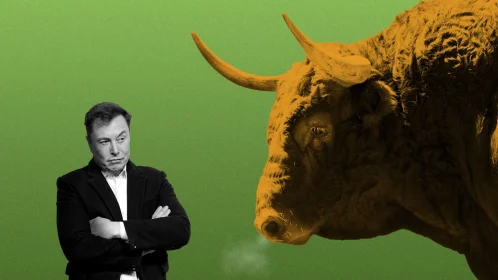 Kripto Dünyasında Heyecan Yaratan Gelişme! Elon Musk’ın Radarındaki Wall Street Memes Peş Peşe Duyurdu