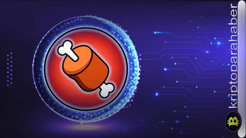 Shiba Inu’nun BONE’u yüzde 6 arttı! Ancak büyük resim daha etkileyici…