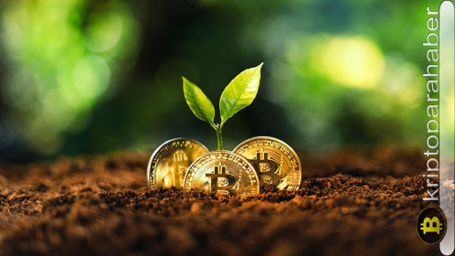 Bitcoin madenciliği sürdürülebilir bir hâle geliyor: Plan ₿ nedir?