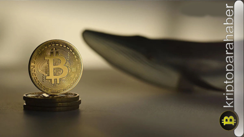 Bitcoin balinaları hafta başından bu yana 20.000 BTC biriktirdi: Fiyat nasıl etkilenecek?