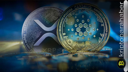 Yatırımcıların ve balinaların ilgisi artıyor: XRP ve ADA bu yeni piyasa trendinden kârlı çıkabilir mi?
