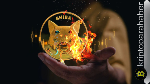 SHIB satışları derinleşirken yanma oranı yüzde 120 arttı: Sırada ne var?