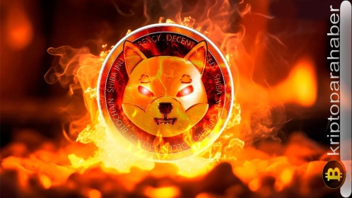 Shibarium’un da önemli gelişme: SHIB’nin yanma oranı yüzde 107 arttı, SHIB fiyatında son durum nedir?