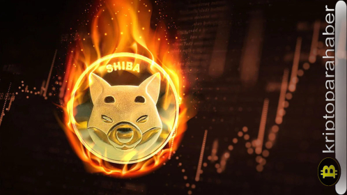 Shiba Inu, 84 milyondan fazla tokenı yaktı: Memecoin’in fiyatı hangi yöne hareket edecek?