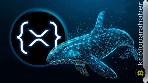 Yeni bir balina 200 milyon doların üzerinde XRP satın aldı: Ripple cephesinde neler oluyor?