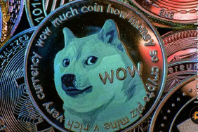 Dogecoin fiyatında balina etkisi: Yeni zirveler yaklaşıyor mu?