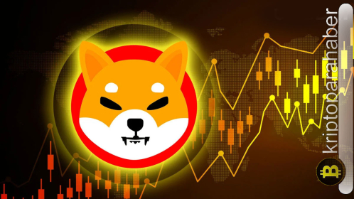 Ünlü analistten SHIB ve DOGE analizi: Altcoinlerde son durum nedir?