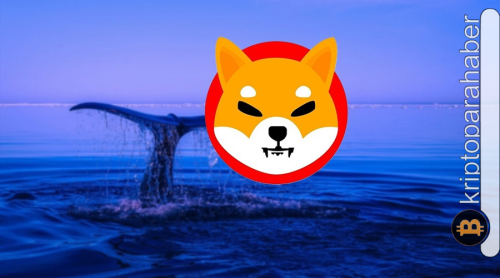 Balinalardan büyük Shiba Inu transferi: Beklenen yükseliş ivmesi geliyor mu?