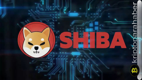 SHIB ekip üyesi topluluğa önemli bir uyarıda bulundu: SHIB için neler oluyor?