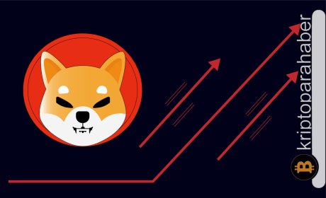 Shiba Inu yükselişe devam ederken yeni alternatifler dikkat çekiyor: Meme Kombat kripto piyasasına giriş yapıyor
