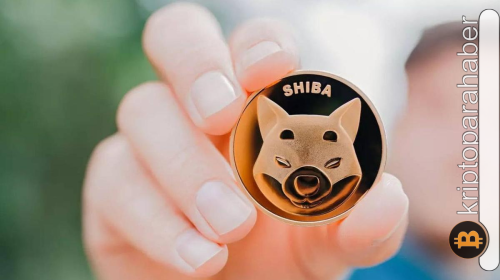 Shiba Inu (SHIB) balinaları birikime devam ediyor: Fiyat yükselişe hazır mı?
