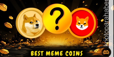 Dogecoin ve Shiba Inu'dan sonra bu coin'ler mi boğa koşusuna hazırlanıyor?