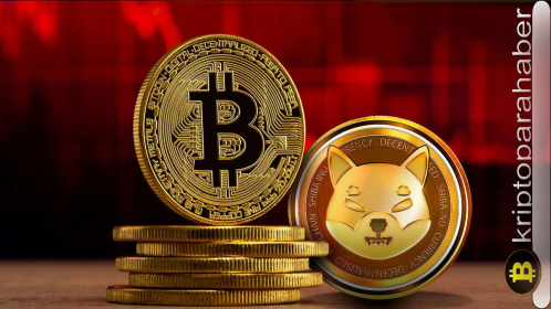 Bu altcoinler Bitcoin’den daha iyi performans gösterdi: Kasım ayında bu trend devam edecek mi? İşte detaylar…