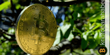 Kripto analisti paylaştı: İşte bu hafta öne çıkacak altcoin listesi