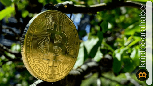 Kripto piyasasında altcoin rüzgarı: XRP, Solana ve Bitcoin ETF Token’da neler oluyor?