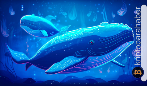 Kripto pazarında balina hareketliliği: Bu hafta en çok satın aldıkları 3 altcoin ve nedenleri