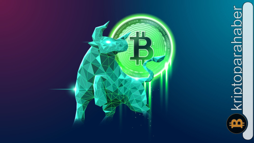 Potansiyel boğa döngüsünde öne çıkacak altcoinleri keşfedin!