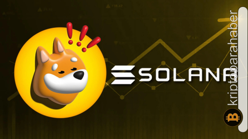 BONK, diğer meme coin’leri geride bıraktı: Yüzde 750’lik yükselişin devamı gelecek mi?
