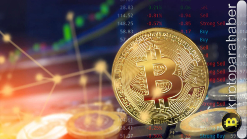 2023’ün son haftasında kripto para piyasasını neler bekliyor? Bitcoin hakimiyeti azalırken bu altcoinler nasıl tepki verecek?