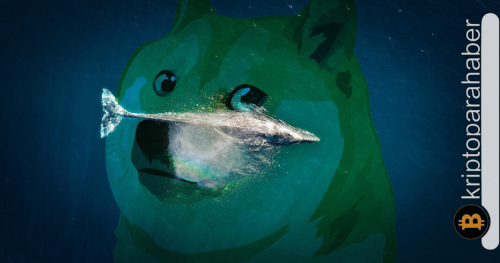 Dogecoin (DOGE) balinalarından sürpriz hareket: Fiyat ne kadar büyük bir risk altında?