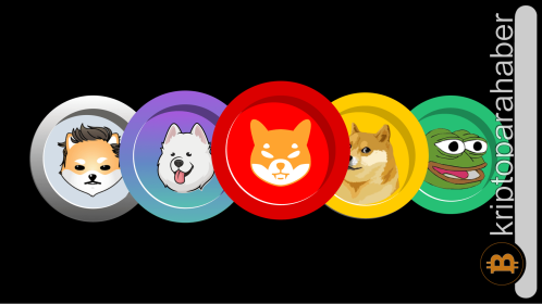 Meme coinler kripto arenasında patlama yaratıyor! Satın almak için doğru zaman mı?