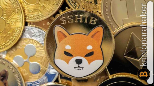 Bitcoin’de 100.000 dolar mı geliyor? FLOKI ve SHIB bu yükselişi takip edecek mi?