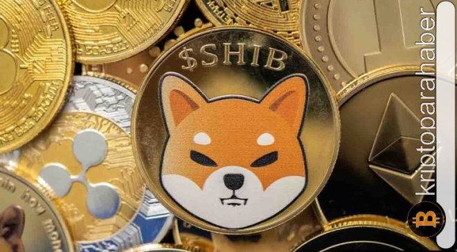 Bitcoin'de 100.000 dolar mı geliyor? FLOKI ve SHIB bu yükselişi takip edecek mi?