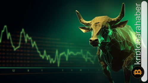 Popüler analist boğa sezonunu duyurdu! İşte yeni sezonda patlaması beklenen altcoinler