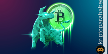 Kripto piyasasında boğa sezonu: Bonk, Shiba Inu, Dogecoin, Stellar ve Sponge V2 öne çıkıyor!