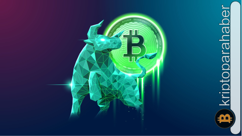 Kripto piyasasında boğa sezonu: Bonk, Shiba Inu, Dogecoin, Stellar ve Sponge V2 öne çıkıyor!