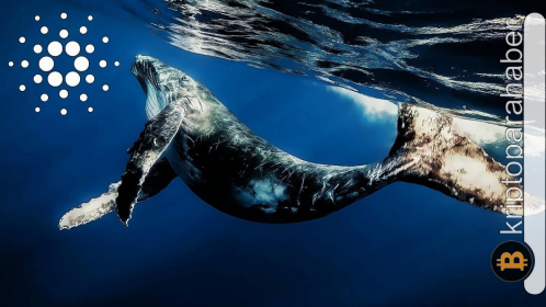 Balinaların dansı: Cardano (ADA) fiyatı büyük bir patlamanın eşiğinde olabilir