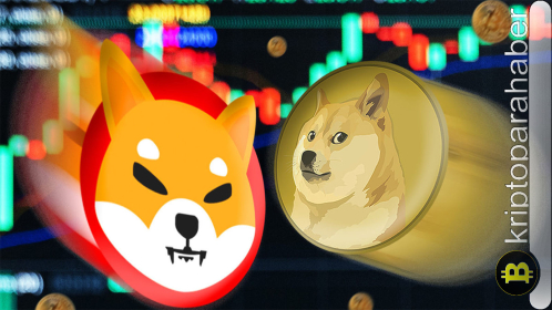 Meme coinlerde son durum: SHIB yanma oranı gelecekteki fiyatı nasıl etkileyecek? BONK, PEPE fiyat analizi ve 100x kârlı yeni meme paralar…