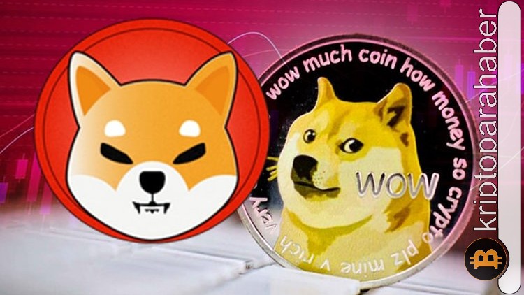 Meme coin rekabeti büyüyor: Shiba Inu fiyatı Dogecoin'i geçebilir mi?