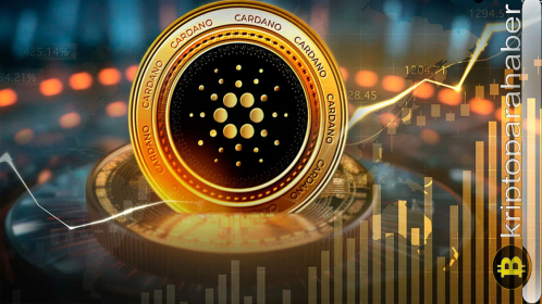 Bir sonraki boğa koşusu için en iyi altcoin seçimi: Ünlü analist neden ADA coini seçti?