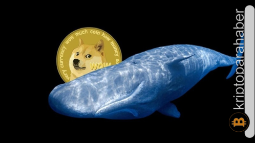 Dogecoin balinalarının devasa hareketleri fiyatı yükseltiyor: İşte, meme coin rallisi başladığında takip etmeniz gereken coinler