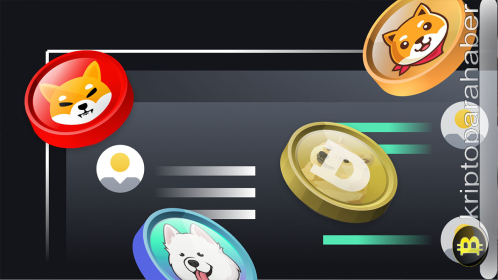 Meme coinden çarpıcı yükseliş! Bu meme, 2024 yılında Bitcoin, Solana ve XRP’yi geçebilir!