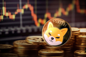 shıba ınu 2024 fiyat analizi