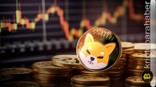SHIB fiyat tahmini ve büyüme beklentileri: Shiba Inu, 2024 için iyi bir yatırım tercihi mi?
